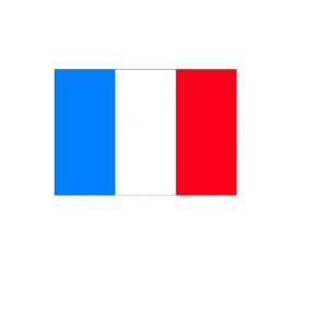 BANDEIRA FRANCA 45×30